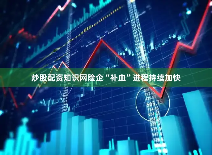 炒股配资知识网险企“补血”进程持续加快