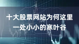 十大股票网站为何这里一处小小的寒叶谷